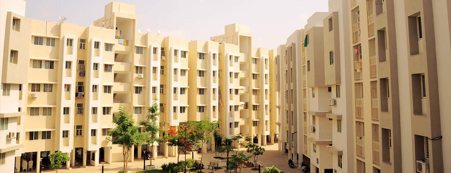 Pavitra City